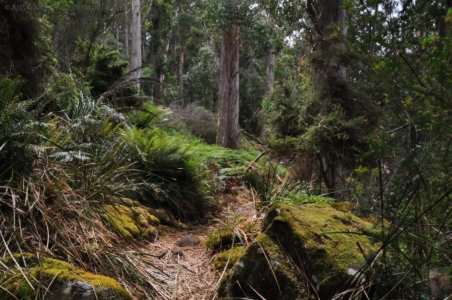 Canoe Bay Walk.017 10h29m07s2019 11 02