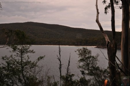 Canoe Bay Walk.019 10h32m50s2019 11 02