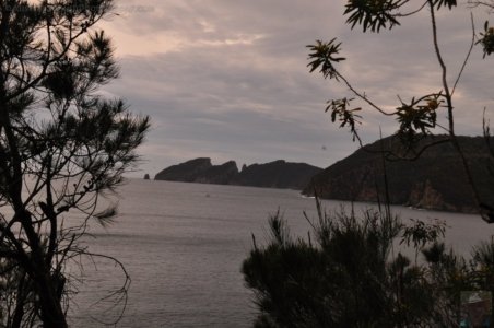 Canoe Bay Walk.021 10h44m49s2019 11 02