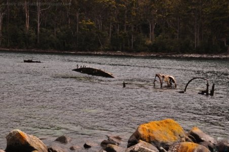 Canoe Bay Walk.024 10h54m02s2019 11 02
