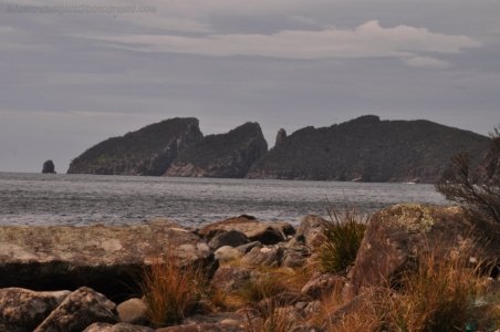 Canoe Bay Walk.025 10h54m38s2019 11 02