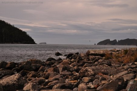 Canoe Bay Walk.026 10h54m48s2019 11 02