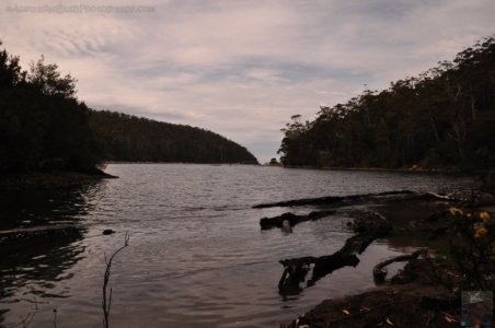 Canoe Bay Walk.028 11h16m00s2019 11 02
