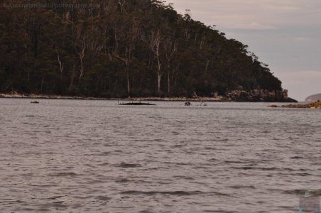 Canoe Bay Walk.029 11h16m09s2019 11 02