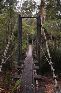 Canoe Bay Walk.031 11h17m41s2019 11 02