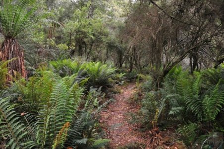 Canoe Bay Walk.034 11h21m48s2019 11 02