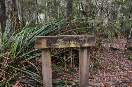Canoe Bay Walk.044 11h32m09s2019 11 02