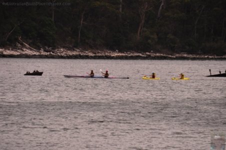 Canoe Bay Walk.045 11h35m12s2019 11 02