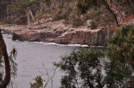 Canoe Bay Walk.046 11h54m51s2019 11 02