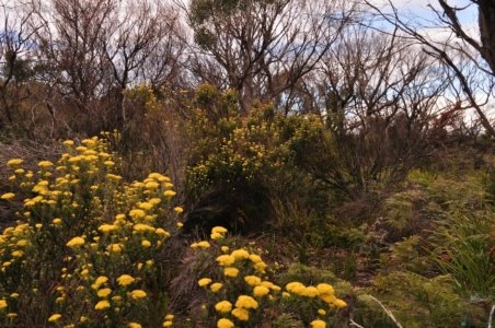 Cape Deslacs Clifton Beach.003 11h19m44s2019 11 04