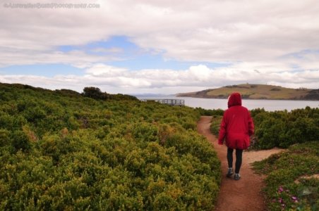 Cape Deslacs Clifton Beach.007 11h27m36s2019 11 04