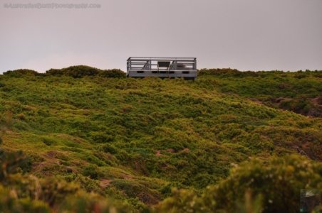 Cape Deslacs Clifton Beach.024 11h39m50s2019 11 04