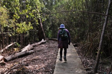 Cape Hauy Walk.001 08h55m31s2019 10 31