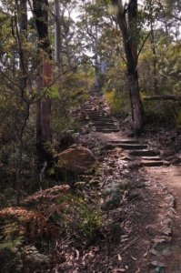 Cape Hauy Walk.002 09h04m43s2019 10 31
