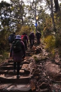 Cape Hauy Walk.003 09h05m27s2019 10 31