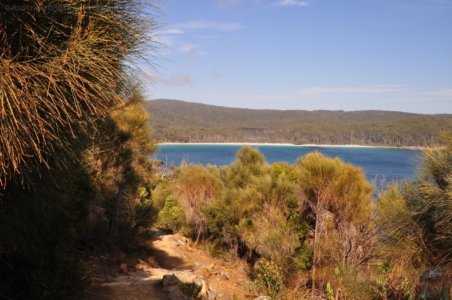 Cape Hauy Walk.006 09h12m03s2019 10 31