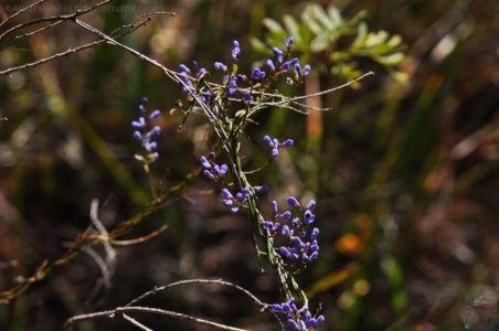 Cape Hauy Walk.011 09h39m21s2019 10 31