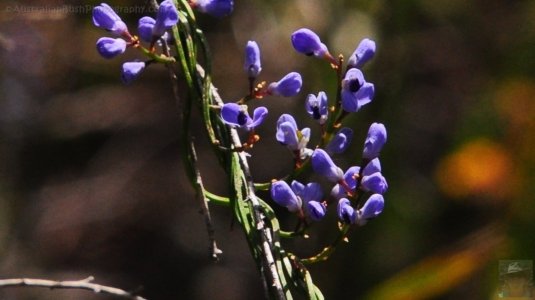 Cape Hauy Walk.011cr 09h39m21s2019 10 31