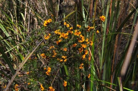 Cape Hauy Walk.012 09h39m42s2019 10 31