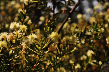 Cape Hauy Walk.017 09h41m51s2019 10 31