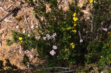Cape Hauy Walk.018 09h42m30s2019 10 31