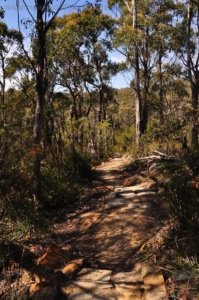 Cape Hauy Walk.020 09h48m08s2019 10 31