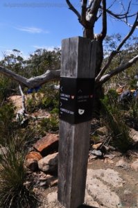 Cape Hauy Walk.025 10h02m11s2019 10 31
