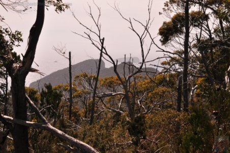 Cape Hauy Walk.026 10h02m39s2019 10 31 1
