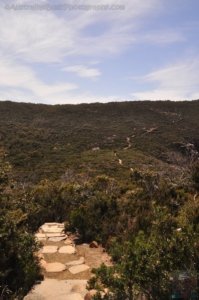 Cape Hauy Walk.035 10h17m29s2019 10 31 1