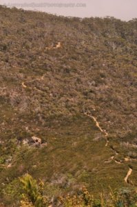 Cape Hauy Walk.047 10h31m20s2019 10 31