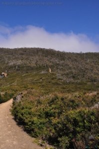 Cape Hauy Walk.058 10h53m57s2019 10 31