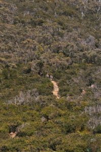 Cape Hauy Walk.059 10h54m00s2019 10 31