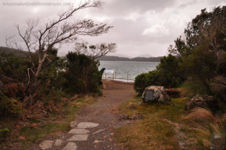 Cockle Creek.006 13h15m56s2019 11 13 Cockle Creek.006 13h15m56s2019 11 13