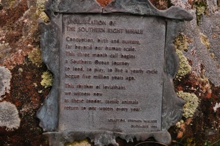 Cockle Creek.007 13h16m08s2019 11 13 Cockle Creek.007 13h16m08s2019 11 13