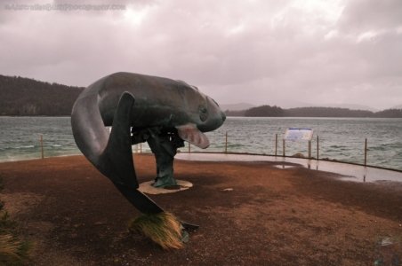 Cockle Creek.008 13h16m20s2019 11 13 Cockle Creek.008 13h16m20s2019 11 13