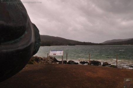 Cockle Creek.009 13h16m39s2019 11 13 Cockle Creek.009 13h16m39s2019 11 13