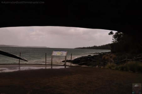 Cockle Creek.014 13h17m11s2019 11 13 Cockle Creek.014 13h17m11s2019 11 13