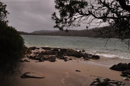 Cockle Creek.021 13h21m05s2019 11 13 Cockle Creek.021 13h21m05s2019 11 13