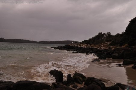 Cockle Creek.022 13h21m56s2019 11 13 Cockle Creek.022 13h21m56s2019 11 13