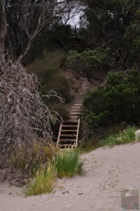 Cockle Creek.026 13h29m52s2019 11 13 Cockle Creek.026 13h29m52s2019 11 13