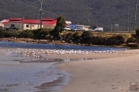 Dover and Huon River.011 14h10m14s2019 11 16
