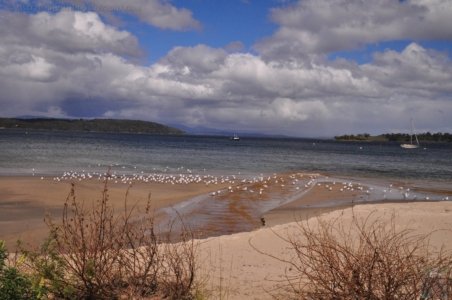 Dover and Huon River.018 14h16m06s2019 11 16