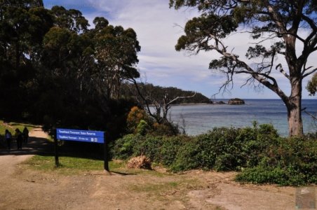 Eaglehawk Neck and Pirates Bay.005 13h06m33s2019 10 29