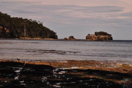 Eaglehawk Neck and Pirates Bay.013 13h13m20s2019 10 29