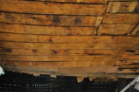 Eaglehawk Neck and Pirates Bay.044 13h49m54s2019 10 29 Eaglehawk Neck and Pirates Bay.044 13h49m54s2019 10 29