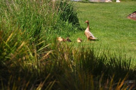 Franklin Campground.009 09h12m35s2019 11 10 Franklin Campground.009 09h12m35s2019 11 10