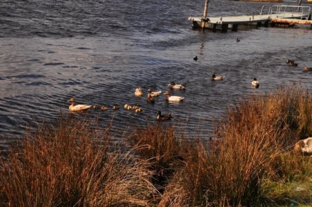 Franklin Campground.020 09h17m00s2019 11 10 Franklin Campground.020 09h17m00s2019 11 10