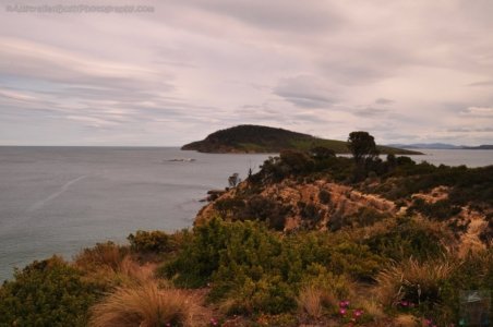 Goat Bluff Lookout South Arm.006 13h17m10s2019 11 05