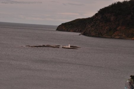 Goat Bluff Lookout South Arm.007 13h17m37s2019 11 05