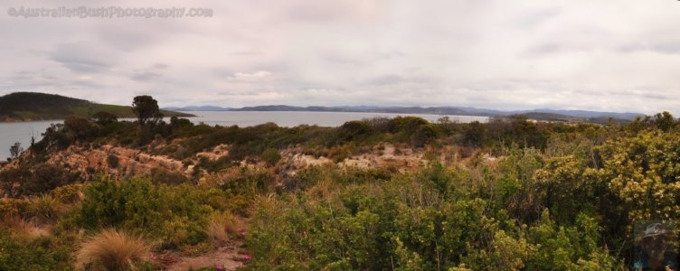 Goat Bluff Lookout towards South Arm